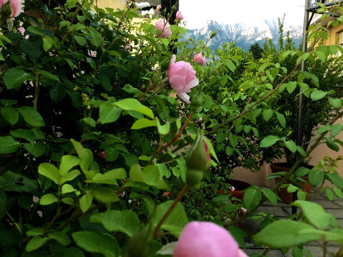 B&B Pescarenico Лекко Экстерьер фото